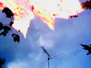 gray day, flash fill, outdated antenna bracketed by foliage silohuettes gray day, flash fill, outdated antenna bracketed by foliage silohuettes
