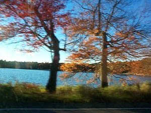 driving by west pond at 4:30