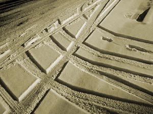 tire tracks in the snow earlier this week, in front of my house, already melted and gone.