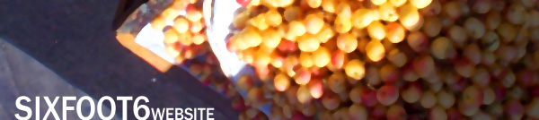 Fruit Header Graphic - Sixfoot6 Website