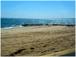 the view across glimmering Cape Cod waters
