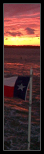 galveston, tx, march 01