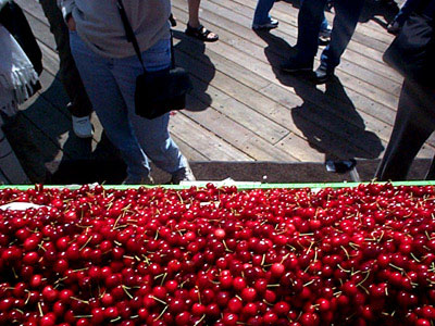 click for next. by rd pants, june 2002.