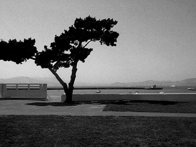 click for next. by rd pants, june 2002.